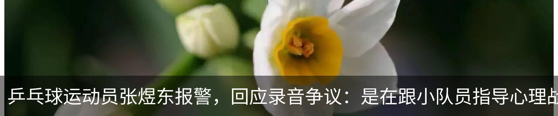 行业资讯