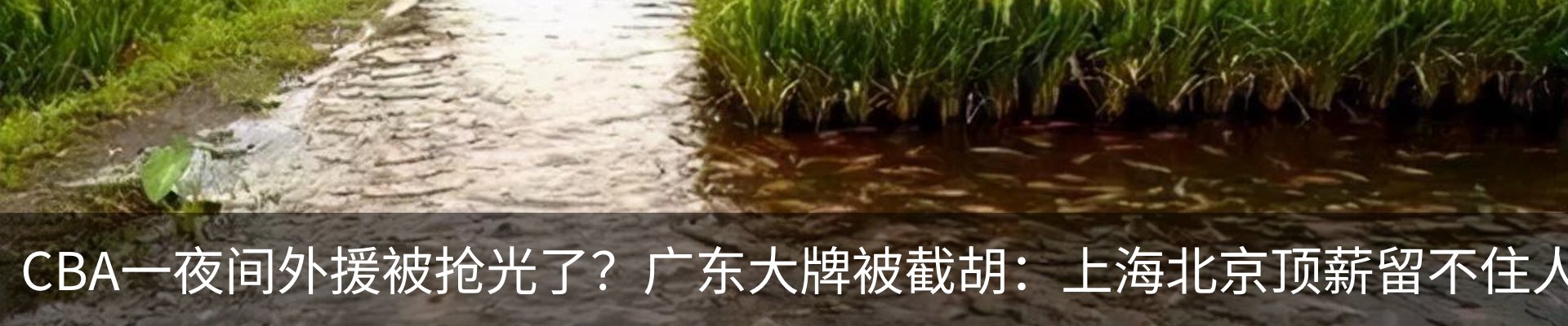 行业资讯